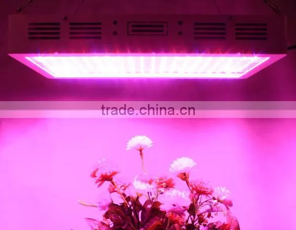 High Quality Greenhouse Cheap 600w Led Grow Lights for Sale photo-3
