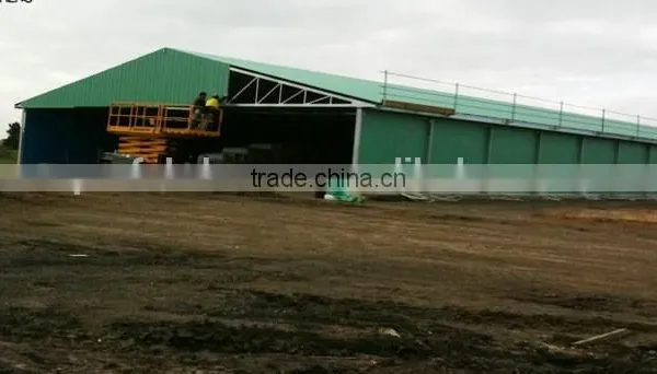 125x21x2.5m Prefabricated Steel Structure Chicken House to Ukraine photo-5