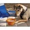 OEM Collapsible Silicone Bowl photo-2