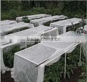 PP Non-woven Fabric photo-3