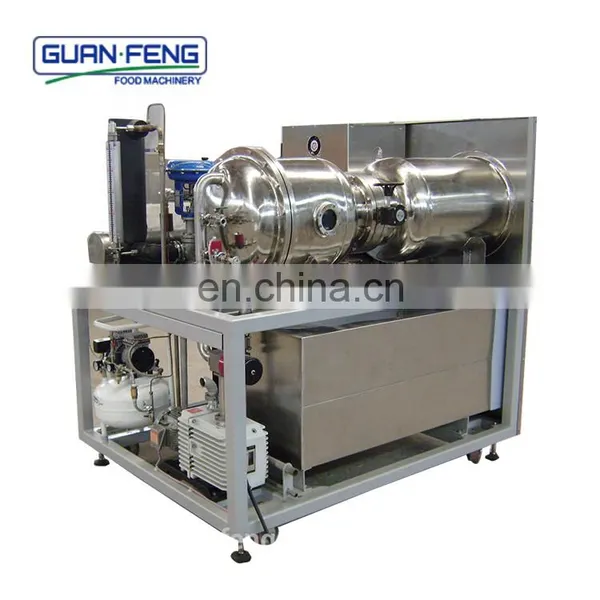 Hot Sale Lab Vacuum Freeze Drying Equipment for Sliced Kiwi Fruit photo-3