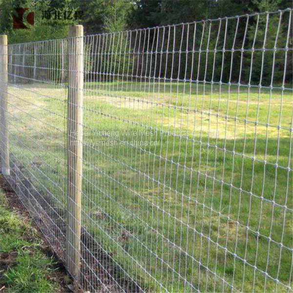 Surrounding Type Metal Fence for Grassland /field Fence Attractive Appearance photo-5