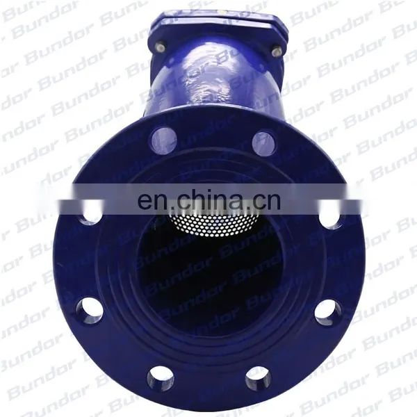 Bundor Casting Flanged End Ansi y Strainer PN16 y Type Strainers Supplier photo-4