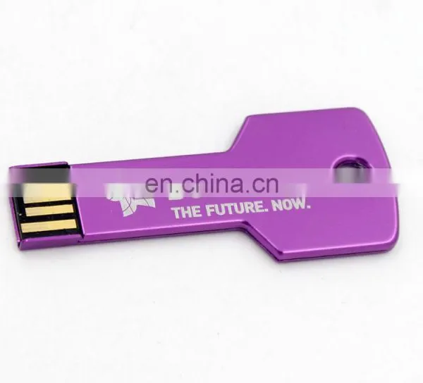 Mini Metal Silver Gold Metal Key Shaped USB 2.0 Flash Drive Memory 4GB 8gb 16gb 32gb 64gb USB Key photo-3
