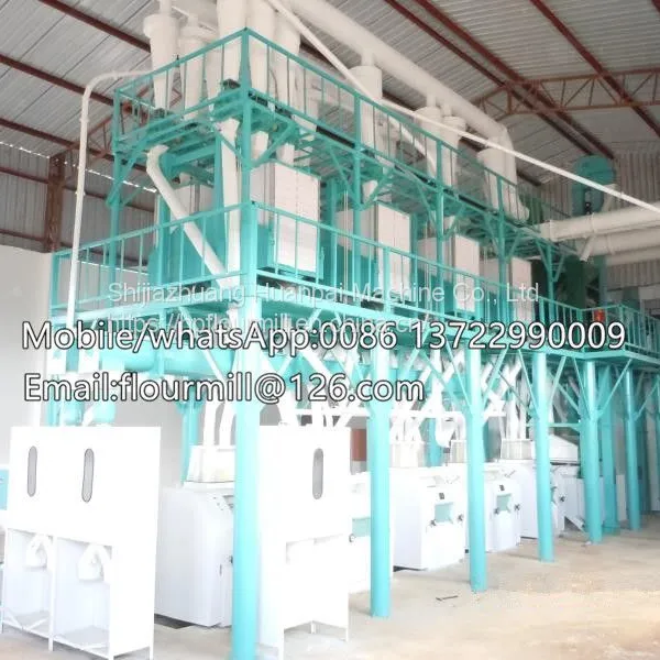 The Best Price High Quality Wheat Flour Mill Machine 20TPD Grain Flour Milling Plant In Africa photo-3