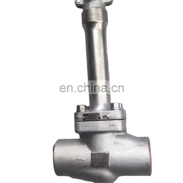 Cryogenic Oxyogen Liquid Used Extension Globe Valve Globe Valves for Water Oil Gas Flanges End LF2 Materials