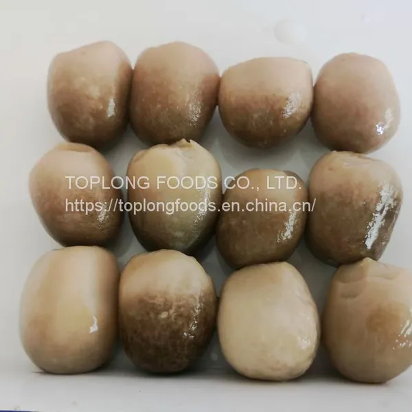 Canned Straw Mushrooms photo-2