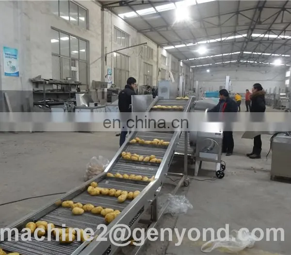 Potato Chips Machine Line for Sale photo-5