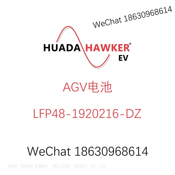 HANGCHA IFP66/182/295 LiThum Battery 48V230Ah HAWKER photo-2