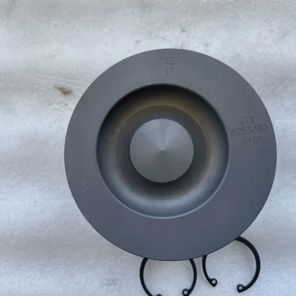 China Supplier Deutz Engine Parts Piston Kit 04501365 for Deutz BF6M2012C Engine photo-3