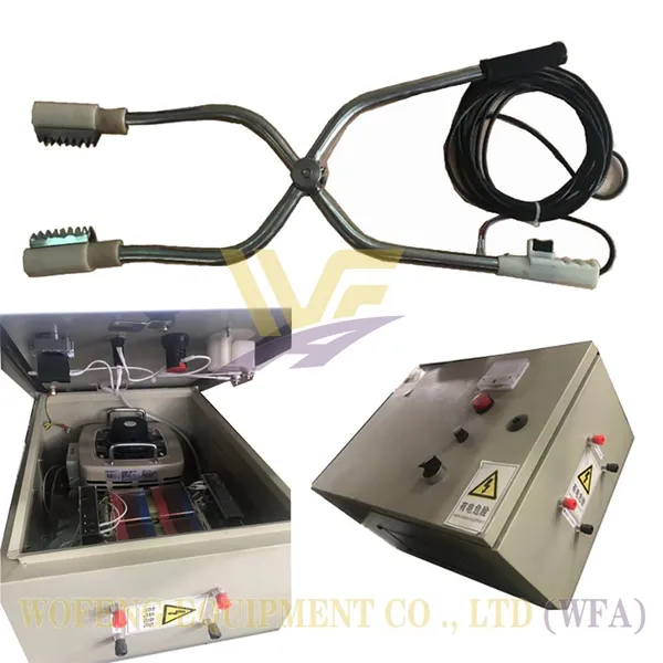 WFA Pig Abattoir Equipment Turnkey Installation Project Swine Slaughterhouse Machinery Hog Butcher Machine Pork Processing Plant