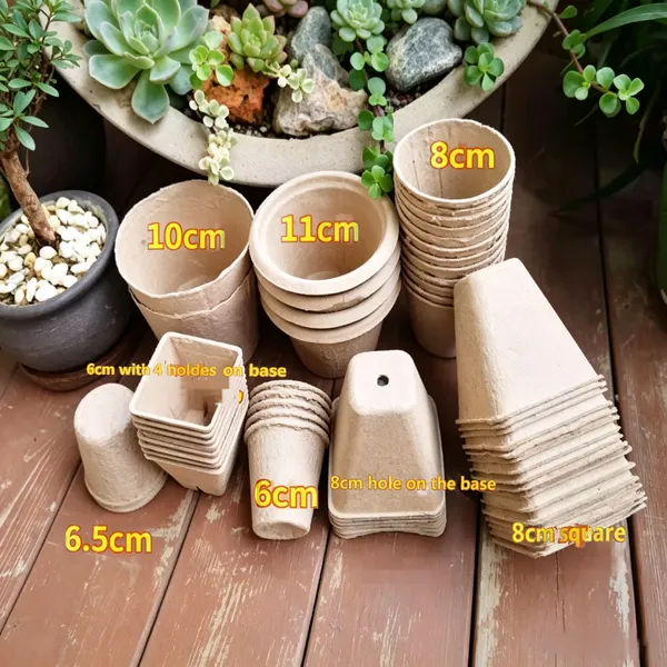 Peat Pots for Flower Nursery, 2.5-Inch, Root Penetration Design, Promotes Healthy Growth