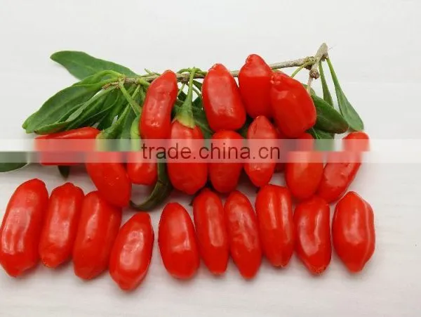 Hot Sell Goji Berries,