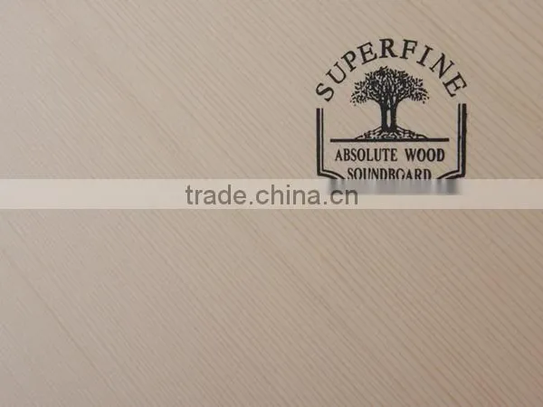 Upright Piano ER8-120 Musical Keyboard China Schumann photo-5