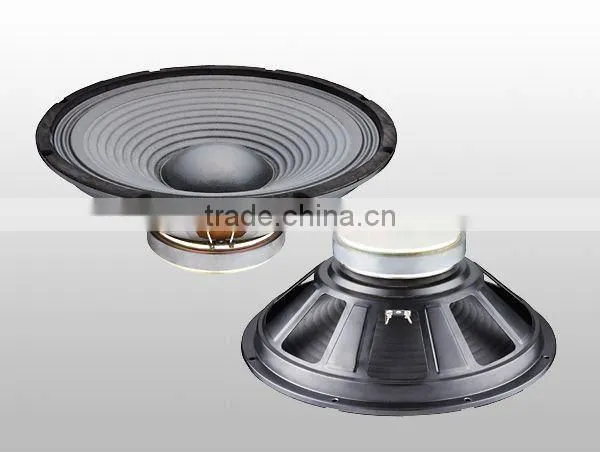 Woofer PA Speaker