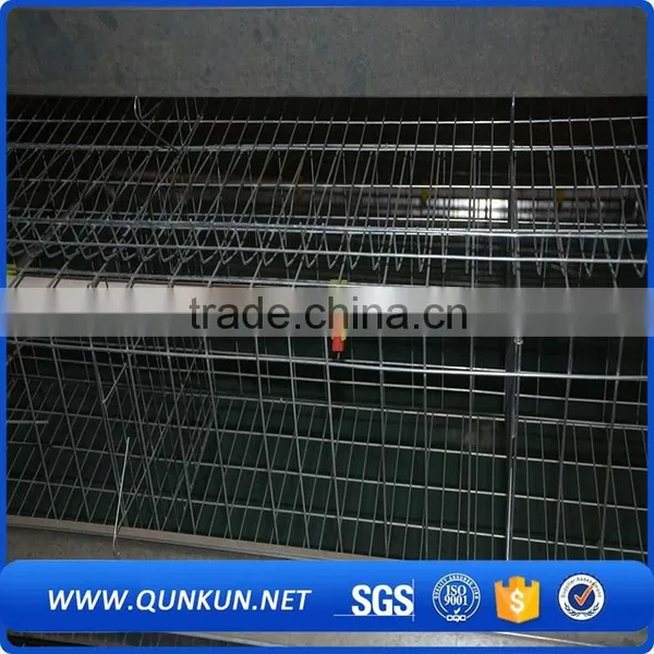 Poultry Chickens Farms Building for Sale photo-3