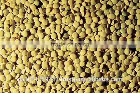 Green Lentils