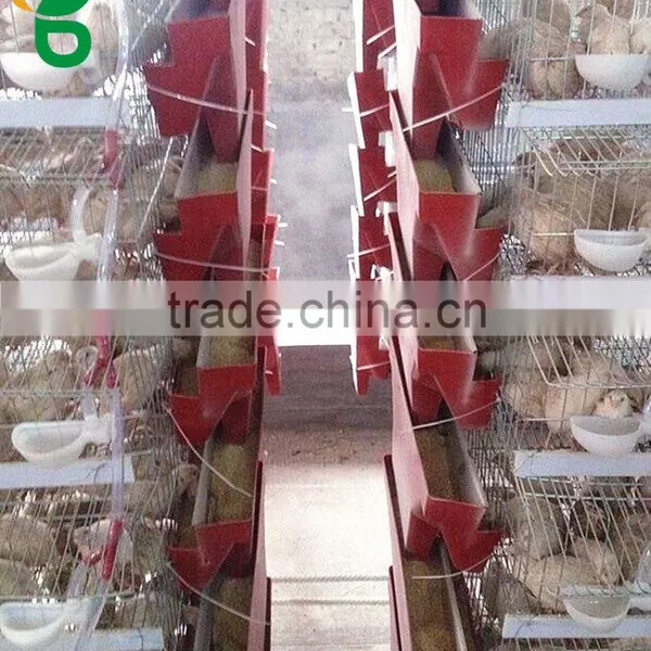 Poultry Quail Cages for Quail Faming photo-2