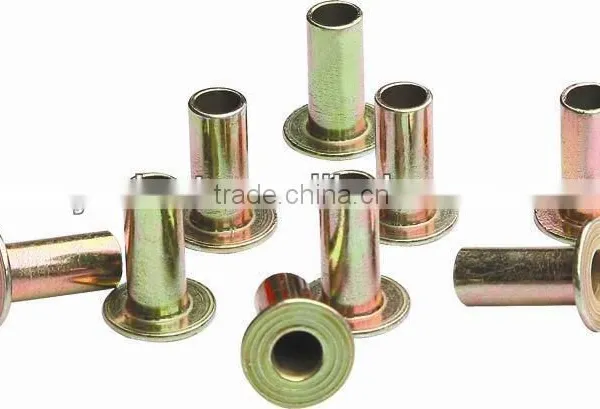 Rivet photo-3
