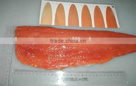 Frozen Chum Salmon