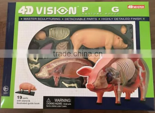 V-AM057 4D MASTER Pig Specimens Anatomical Model photo-6