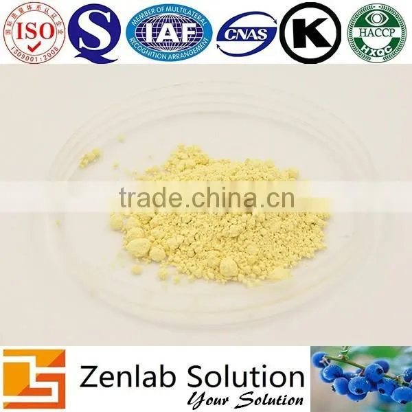 100% Natural Organic Apple Juice Concentrate Powder Dried Apple Powder photo-2
