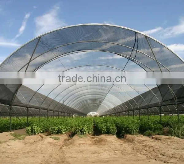 30% Agriculture HDPE Tape Shading Net , Cheap Netting photo-6