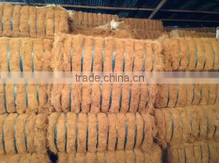 Coconut Fiber - QQ : 2598494113 photo-5