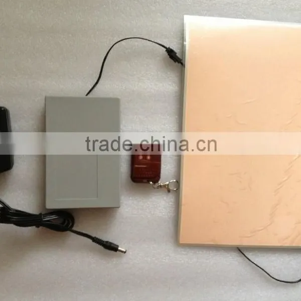 EL Panel/EL Backlight Panel With Remote Controller, With 4 Functions photo-3