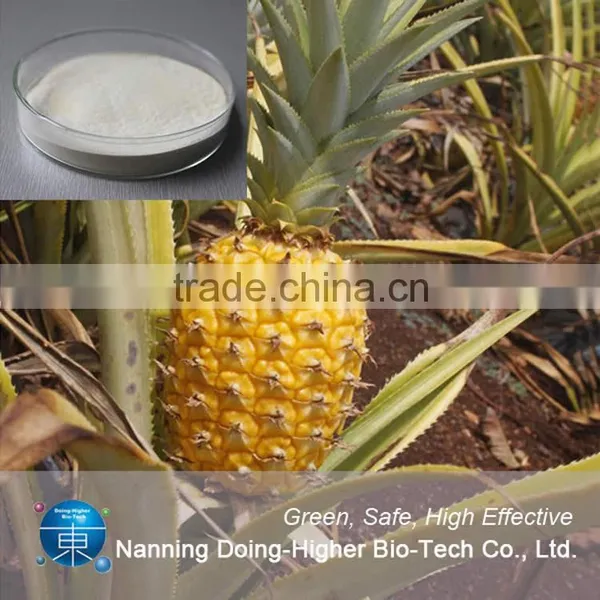 Food Grade Plant Extract Manufacturer Direct Selling Pineapple Extract Powder Bromelain photo-3