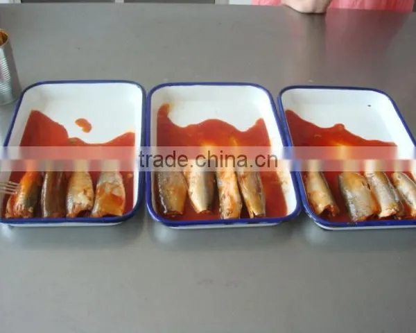 Popular Sale Canned Sardine in Tomato Sauce photo-2