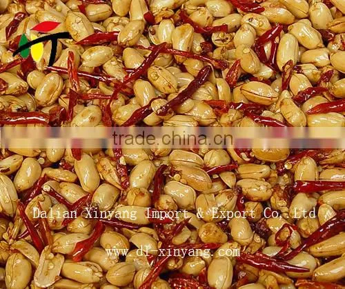 Wholesale Spicy Hot Fried Peanuts Made in China photo-2