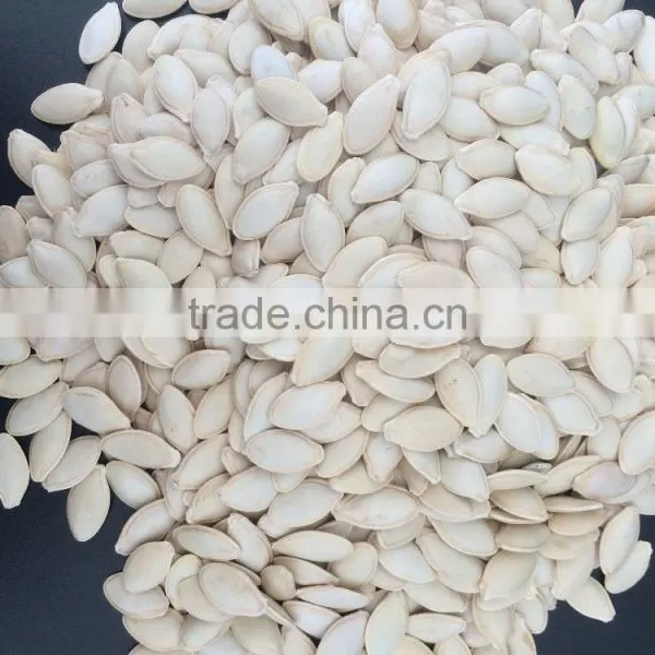 Shine Skin Pumkin Seeds 9-11mm With Good Price photo-5