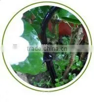 ILOT Low Cost Drip Irrigation Kits for Watering Potted Plants