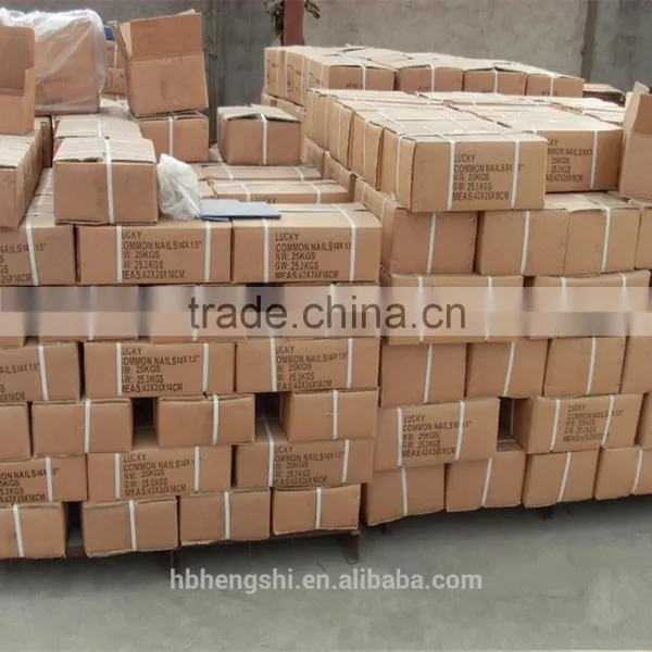 Best Quality Common Wire Nails photo-3