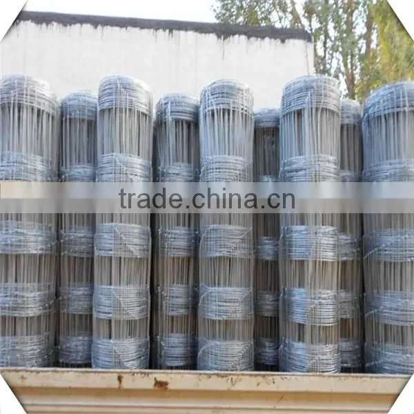 High Zinc Coated Galvanized Field Fence for Sale / Galvanized Sheep Fence for Sale photo-4