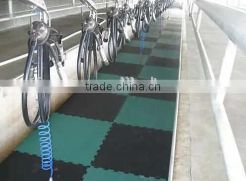 Free Samples EVA Wall Mat/ Eva Foam Gym Mat /eva Foam Mat