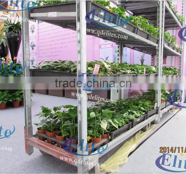 330 Glasshouse Tool Car photo-6