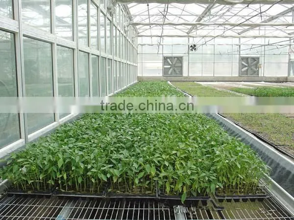Cheaper Top Quality Best Price Plant Seed Starter Trays photo-6
