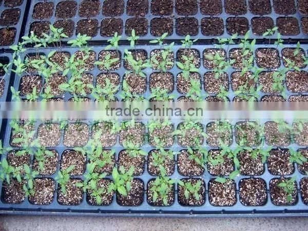 Made in China Reliable Quality Low Price Durable Nursery Seeding Tray photo-4