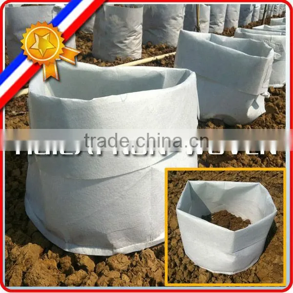 Non Woven Polyester Planting Felt, Grow Felt, Plating Non Woven photo-5