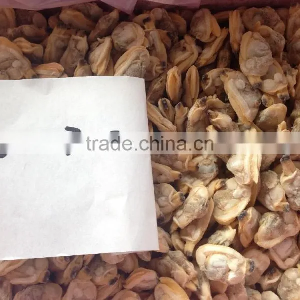 Tasty and Delicious Best Frozen Baby Clam Meat photo-6