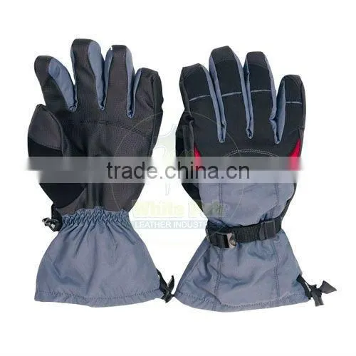 Ski Gloves