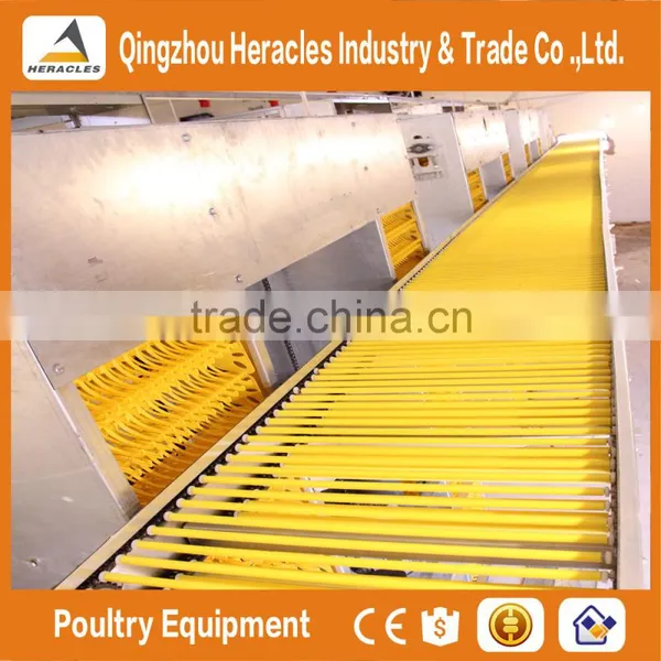 Heracles Factory Price Chicken Layer Cage- A Type of Poultry Cage photo-4