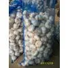 Chinese Fresh Garlic 2013