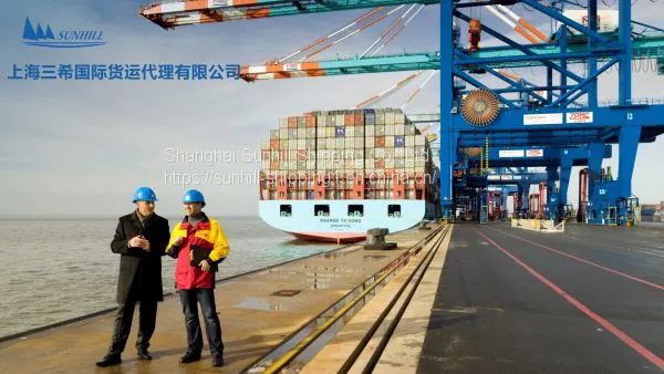 Shanghai to Onne Seaport FCL Cargo Freight Nigeria West Africe Line Logistic Service photo-3
