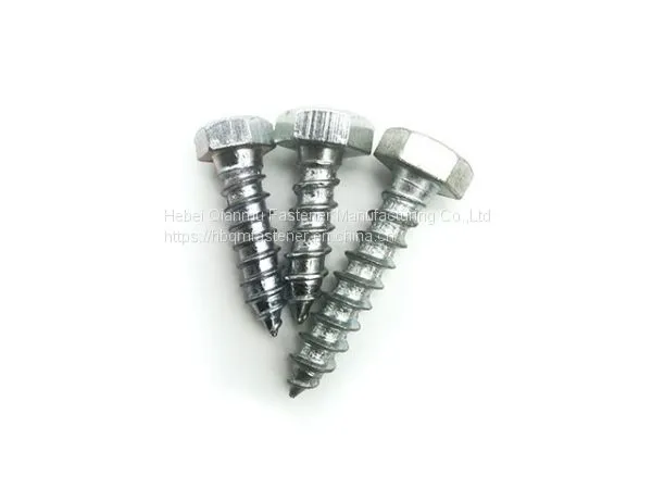 DIN571 M6 M12 Hex Head Wood Screw Fastener photo-2