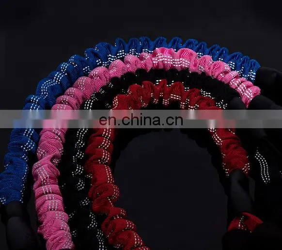 High Quality Bungee Dog Leash, Improved Dog Safety & Comfort Dog Training Leashes photo-6