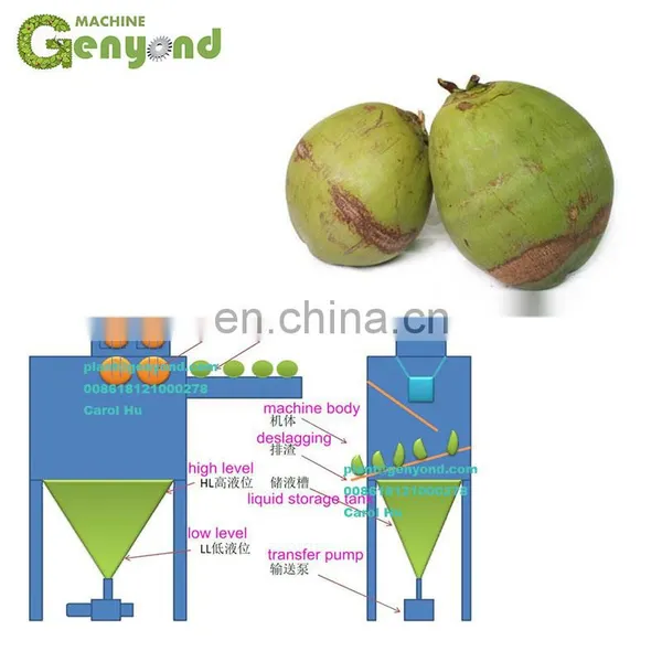 Green Young Coconut Half Cutting Machine for Water photo-4