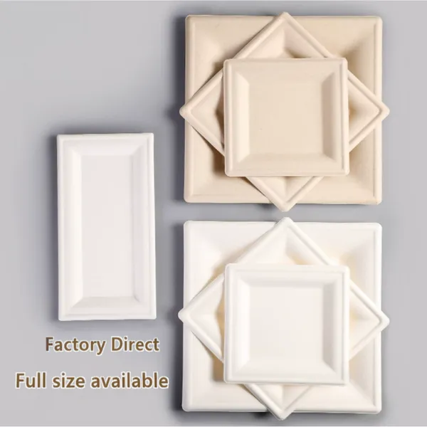Heavy-Duty Molded Pulp Dinner Plate 8/10 Inch - Grease Resistant, Refrigerator Safe, Biodegradable, Custom OEM photo-3